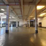 Warehouse for Rent in Bellville