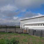 Warehouse to Let in Airport Industria Cape Town