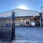 Well located industrial property
