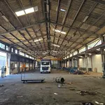 Factory premises for rent - Consani Business Park